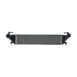 CI675000S MAHLE