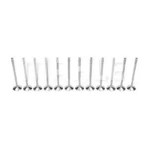 MAHLE VA0700242
