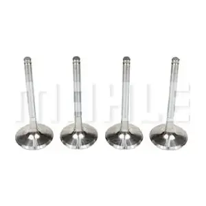 MAHLE VA0250159