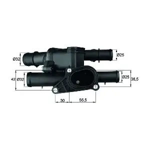 TM2105 MAHLE
