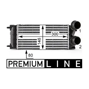 CI528000P MAHLE