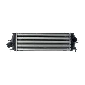 CI 534 000P MAHLE