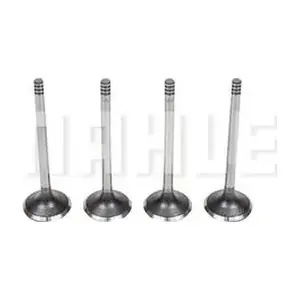 VA0440571 MAHLE