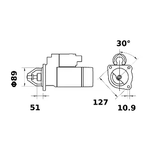 MAHLE MS 191