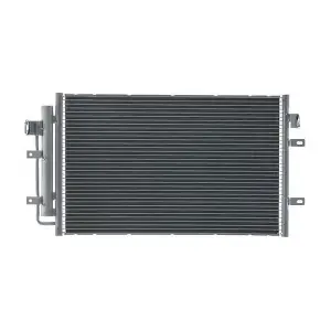 AC 1021 000S MAHLE