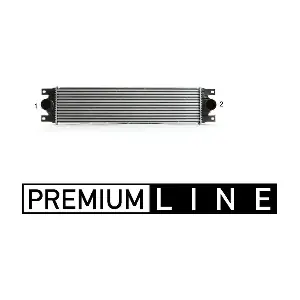 CI19000P MAHLE