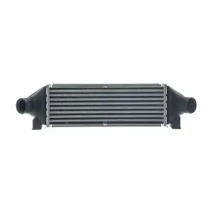 CI 689 000S MAHLE