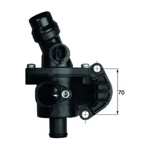 TM6109 MAHLE