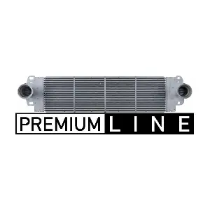 CI 80 000P MAHLE