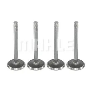 VA0700017 MAHLE