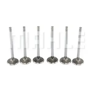 MAHLE VE0210152
