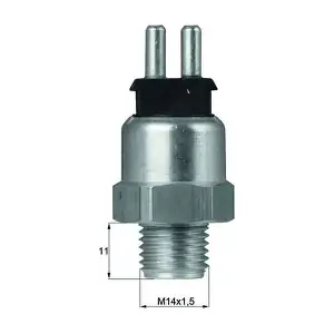TSW 19D MAHLE