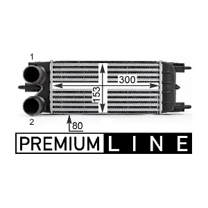 CI529000P MAHLE