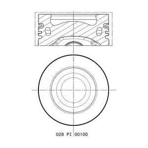 MAHLE 028 PI 00100 002