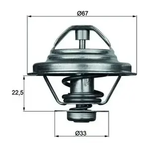 MAHLE TX2487D