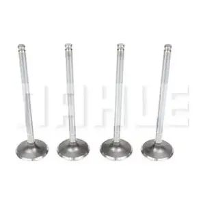 MAHLE VA0250052