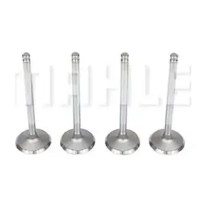 VA0250054 MAHLE