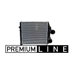 CI114000P MAHLE