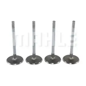 VA0140040 MAHLE