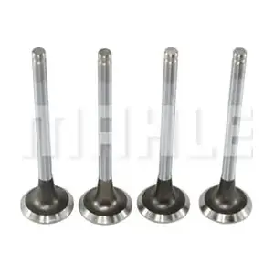 VA0480004 MAHLE