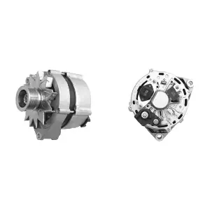 MAHLE MG 456