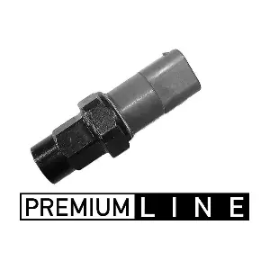 ASW31000P MAHLE
