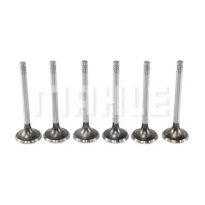 VA0180124 MAHLE