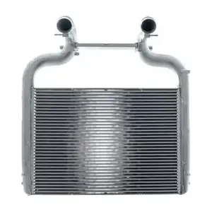CI36000P MAHLE