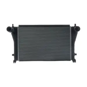 CI 667 000S MAHLE