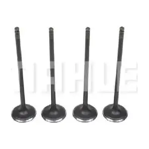 MAHLE VA0510257