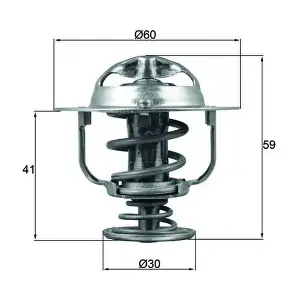 TX17782D MAHLE