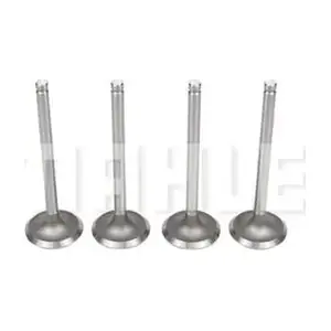MAHLE VA0570035
