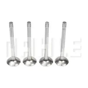 MAHLE VE0700081