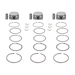 S01210 MAHLE