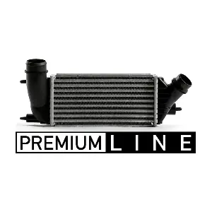 CI440000P MAHLE