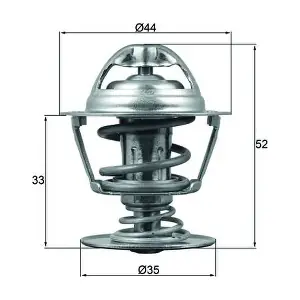TX 173 88D MAHLE