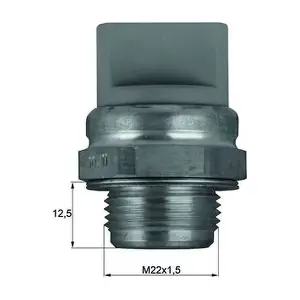 TSW 11 MAHLE