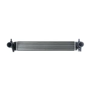 CI402000P MAHLE