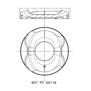 607 PI 00119 002 MAHLE