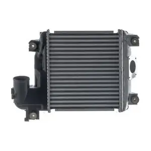 CI608000S MAHLE