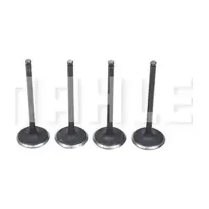 VA0630207 MAHLE