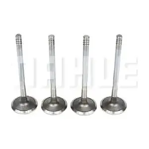 VA0570250 MAHLE