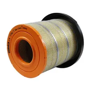 LX776/1 MAHLE