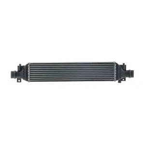 CI690000S MAHLE