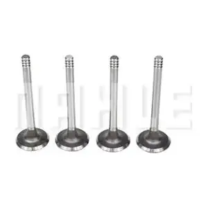 VA0700078 MAHLE