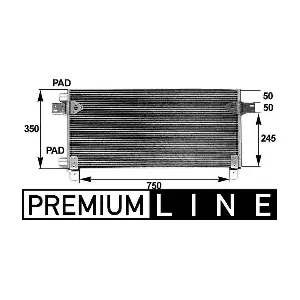 AC282000P MAHLE