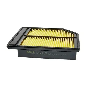 LX2119 MAHLE
