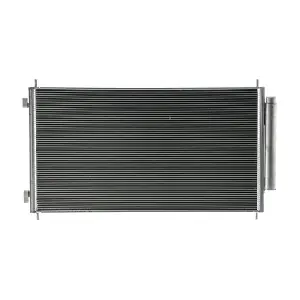 AC811000P MAHLE
