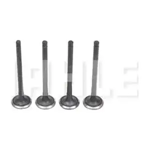 VE0630206 MAHLE