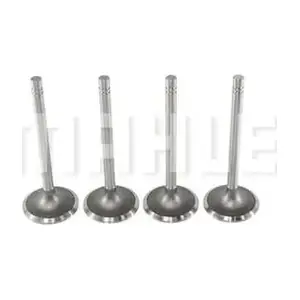 MAHLE VA0110145